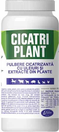 CICATRI PLANT